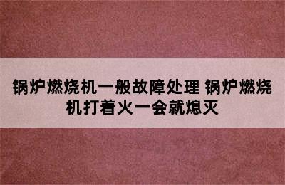 锅炉燃烧机一般故障处理 锅炉燃烧机打着火一会就熄灭